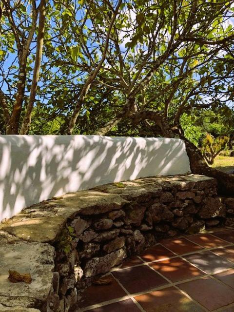Casal Da Serrana Farm stay *