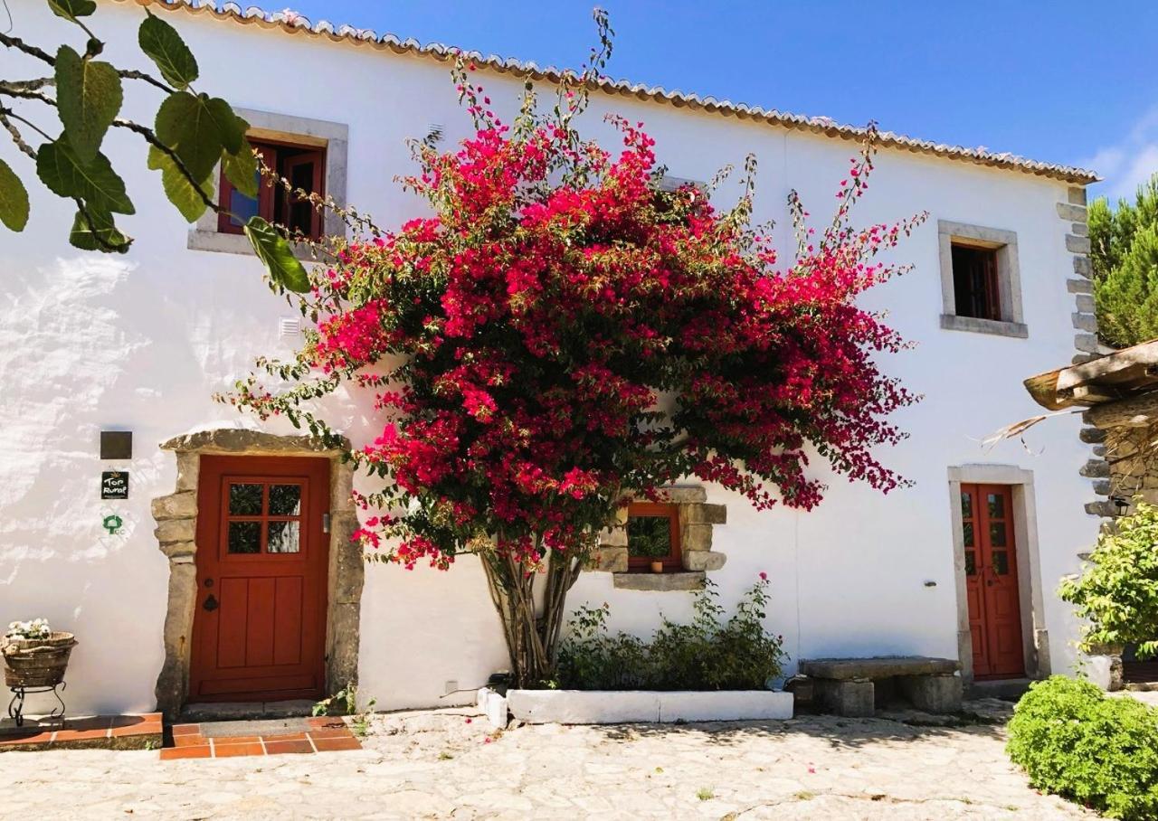 Farm stay Casal Da Serrana Reguengo Grande