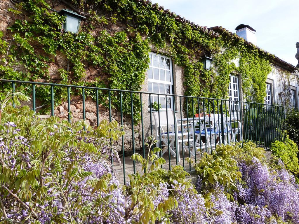Farm stay Casa Dos Barros Winery By Vintage Theory Sabrosa