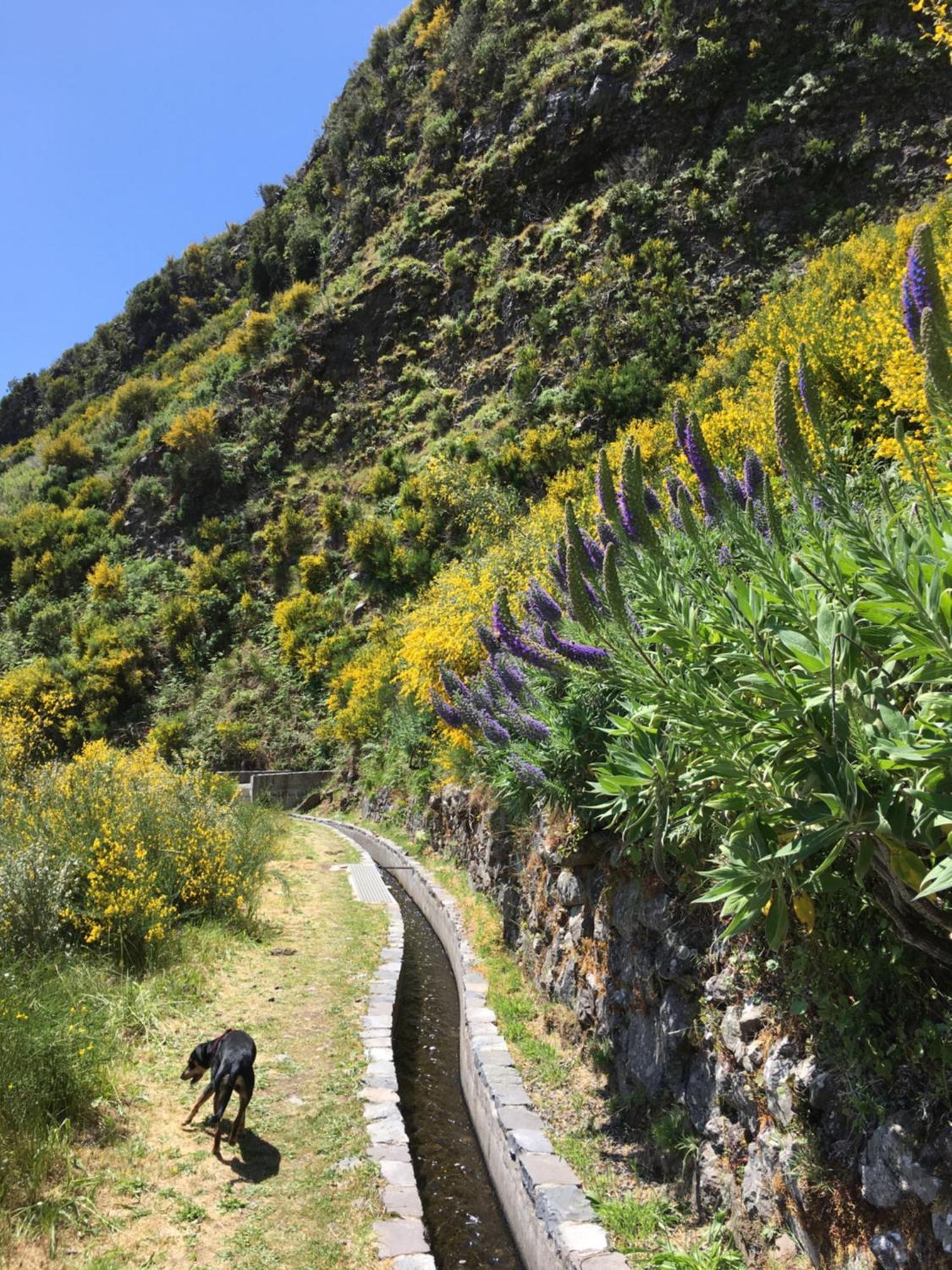 Homestay Pico Paraiso Madeira Ponta do Sol (Madeira)