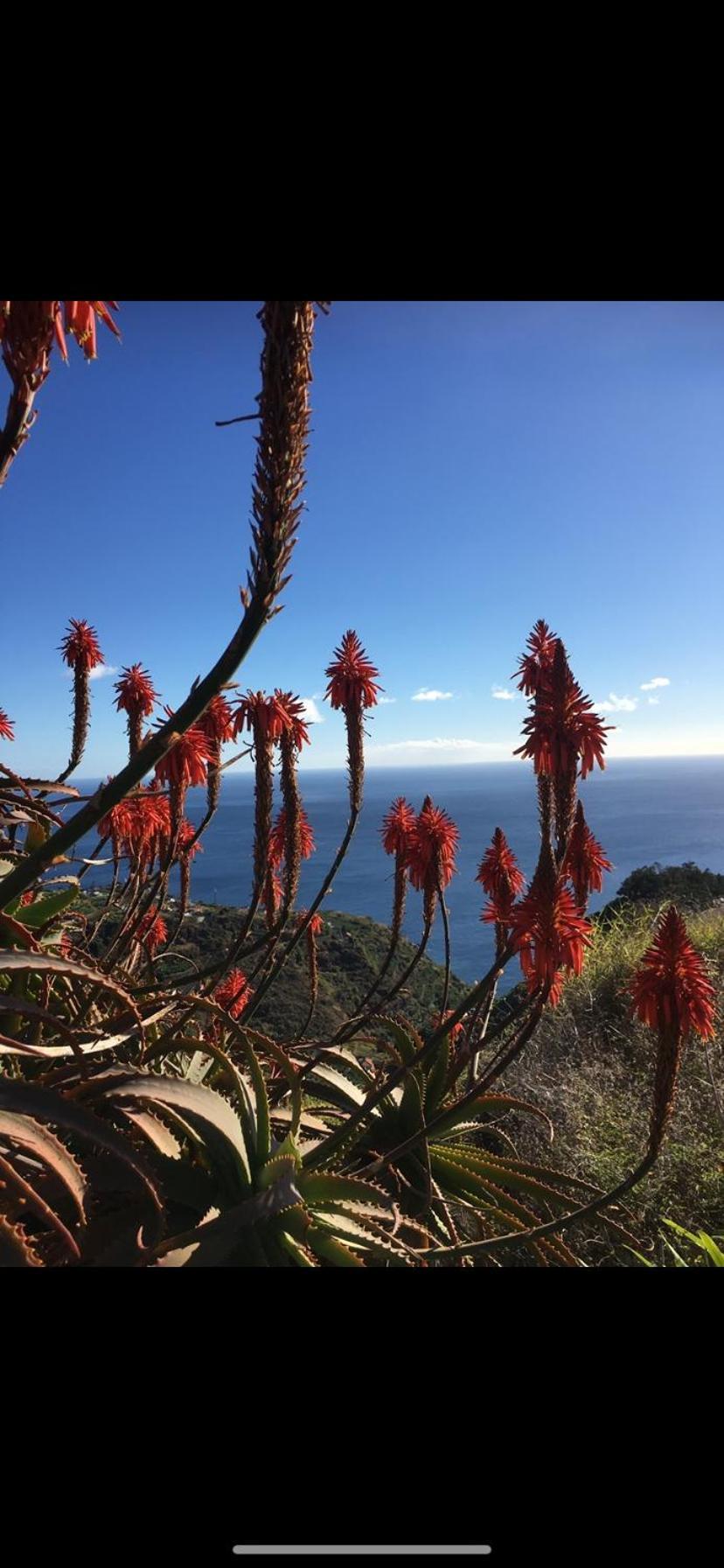 Pico Paraiso Madeira Ponta do Sol (Madeira)