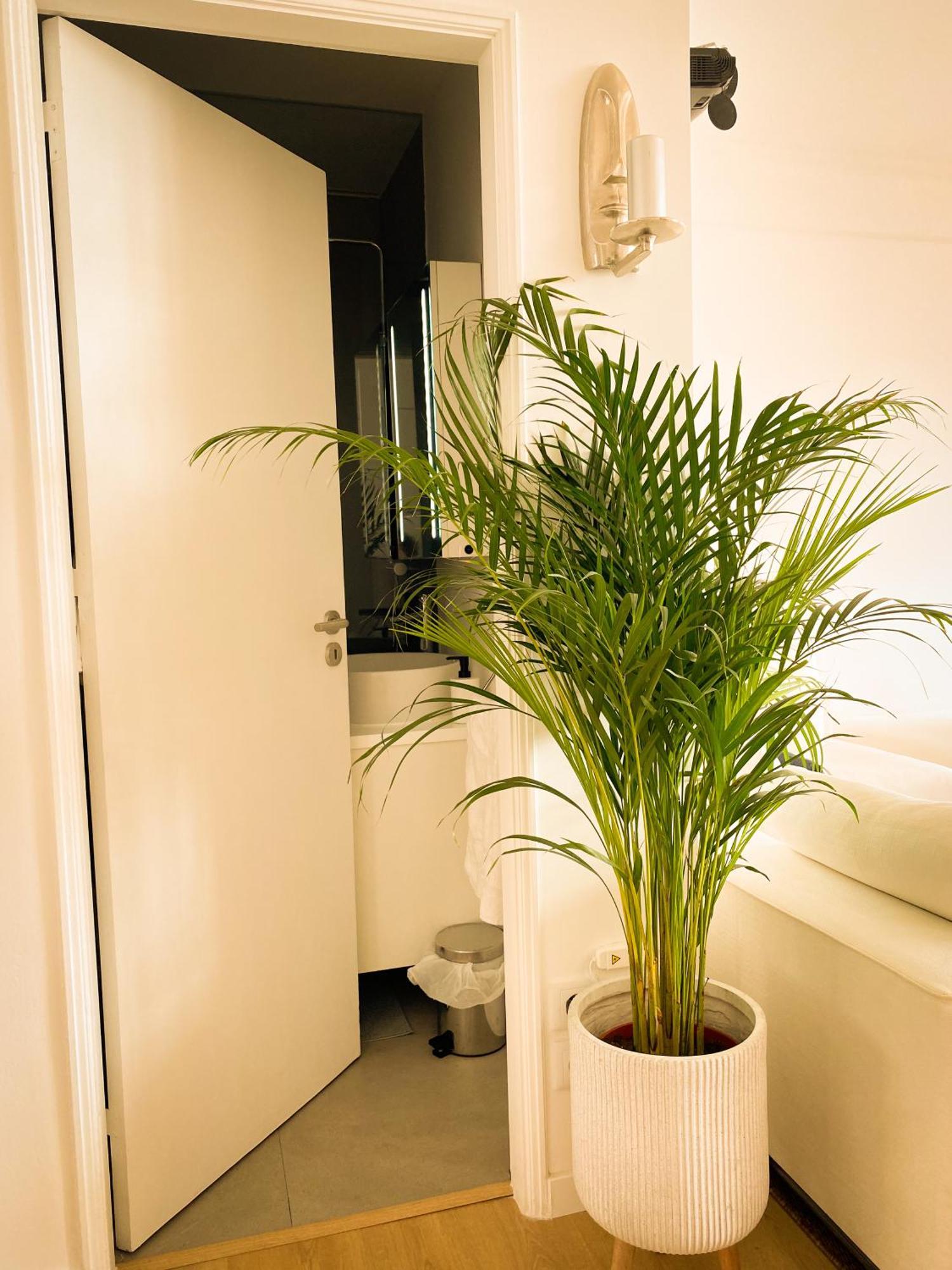 Homestay Ideally Located With Perfect Views Alges