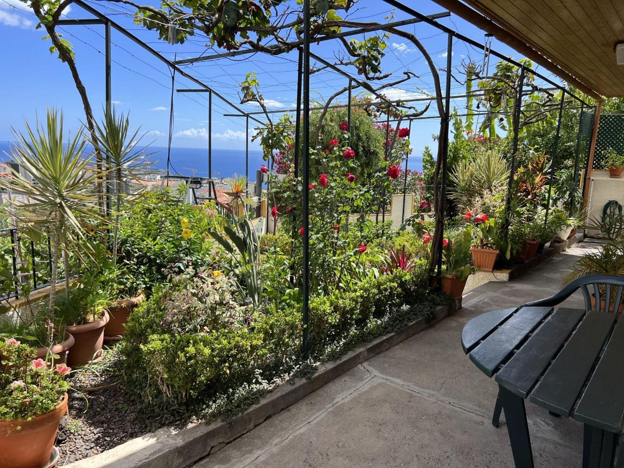 Holiday home Chinchilla's House Madeira Style Funchal (Madeira)