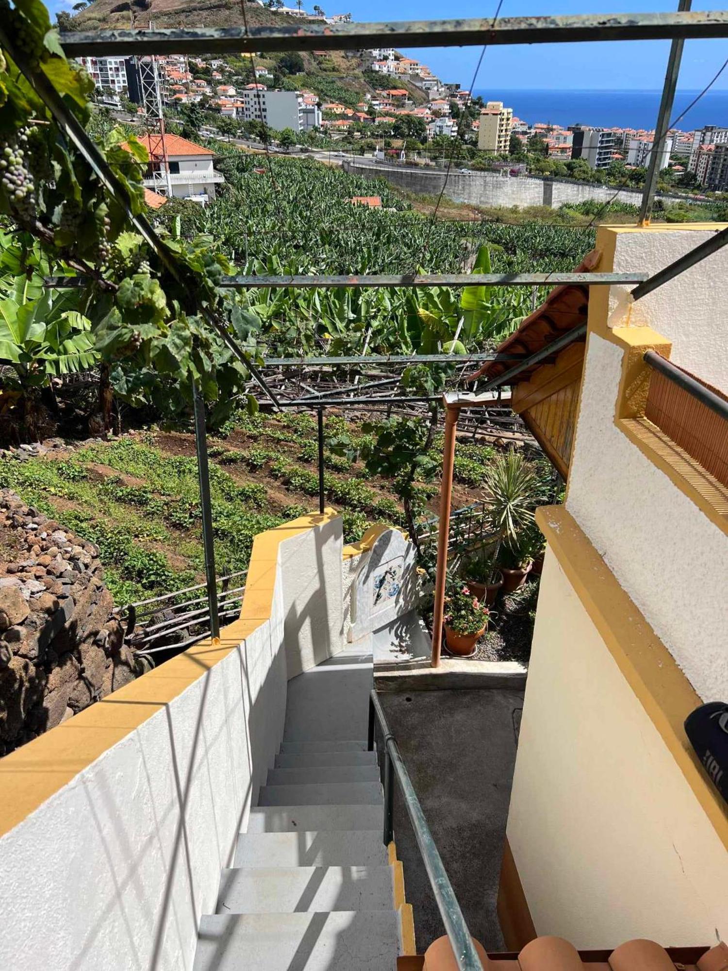 Holiday home Chinchilla's House Madeira Style