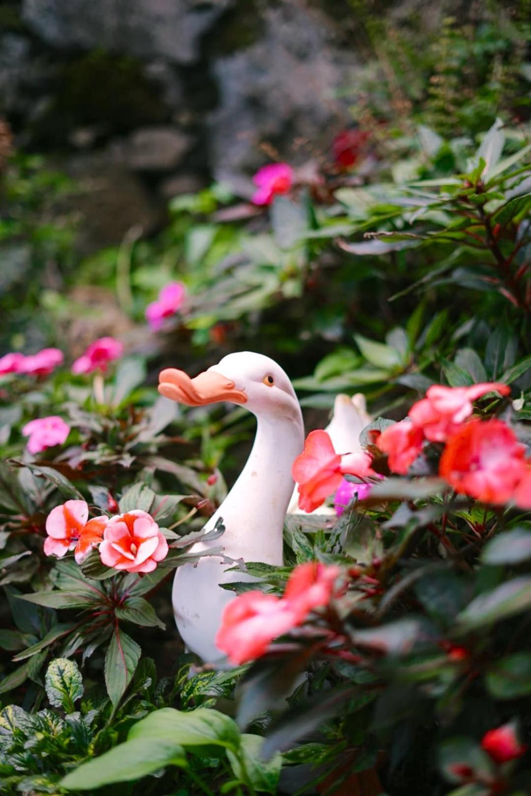 Gardens *