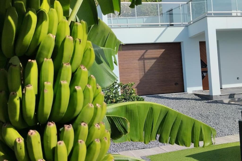 Villa O Pomar - A Quiet Sunny Place With Amazing Sea Views *