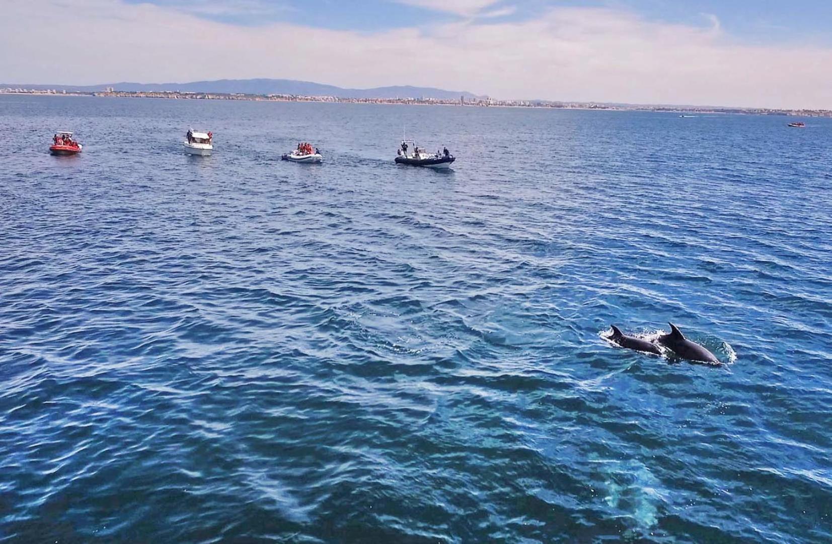 Atlantic Sea By Algarve Vacation *