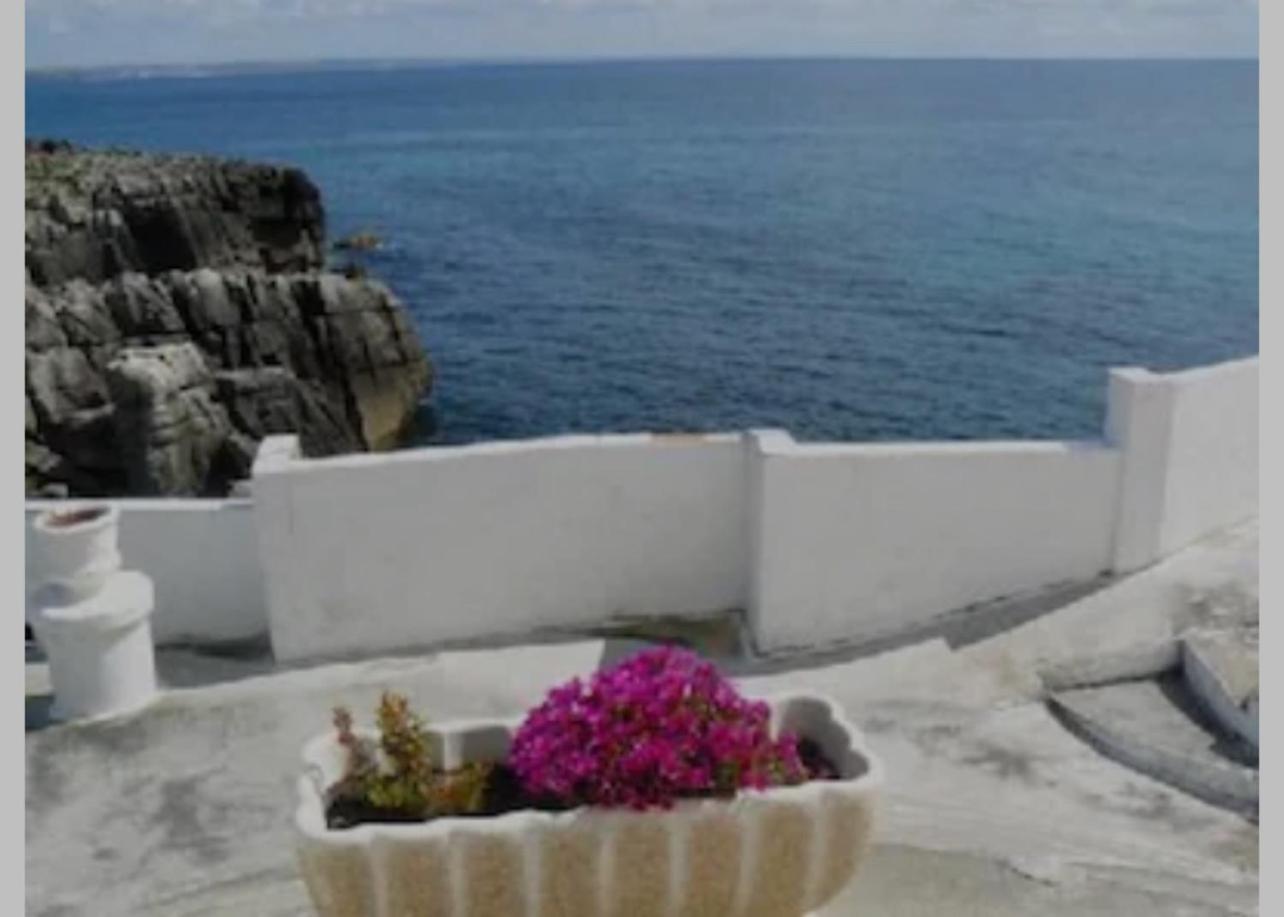 Holiday home Estrelas - -au Centre -terrasses Vue -choix De 3 Maisons Dans La Meme Rue - A 300 Metres -parking Gratuit- *