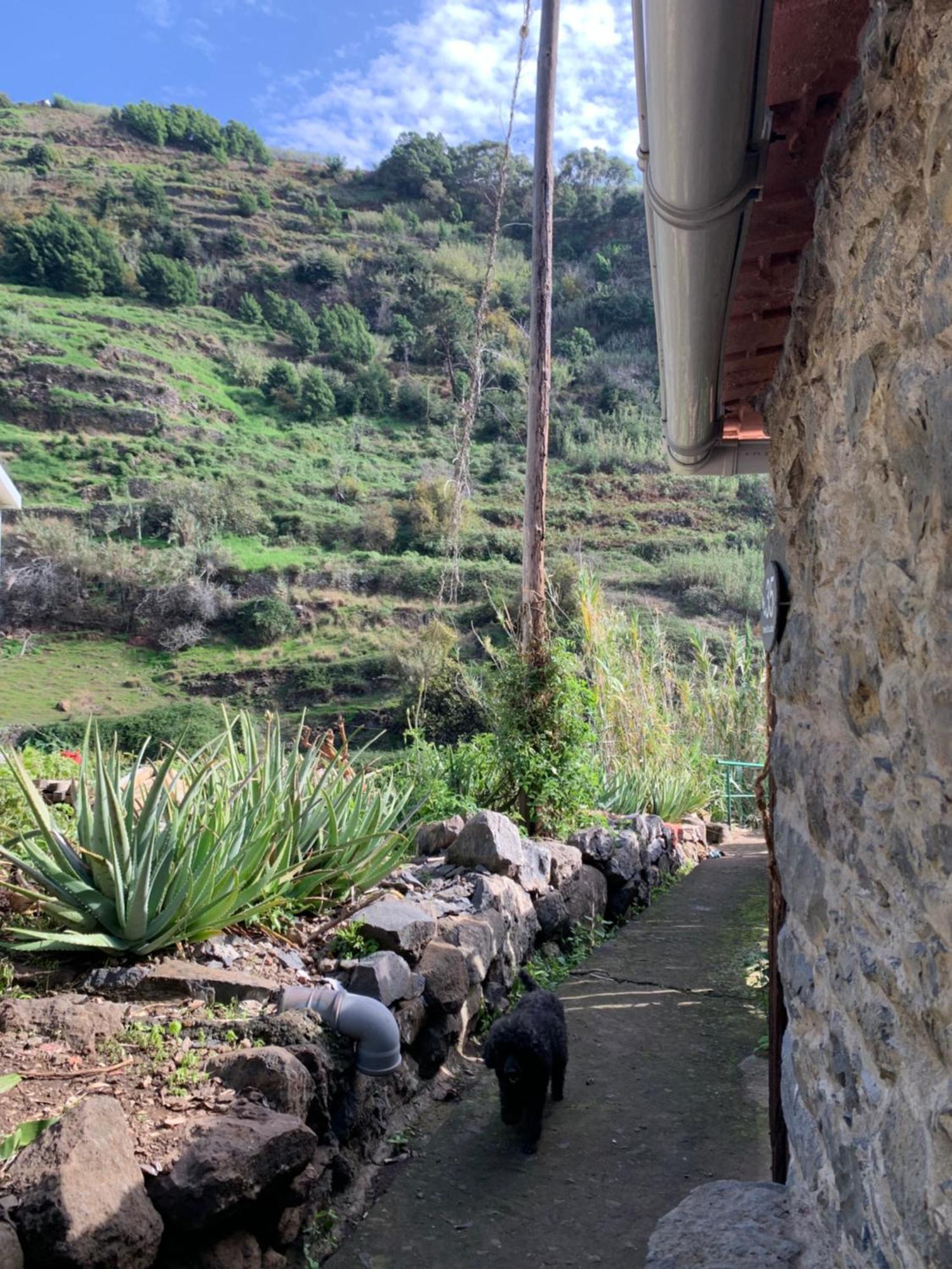 Homestay Pico Paraiso Madeira