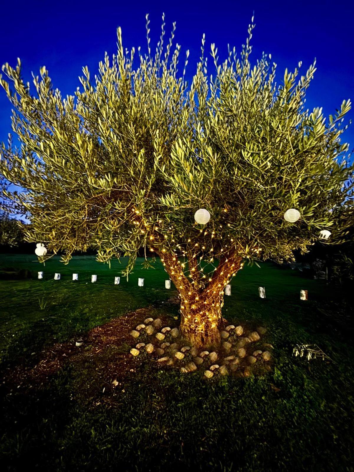 Quinta Vale Da Prata