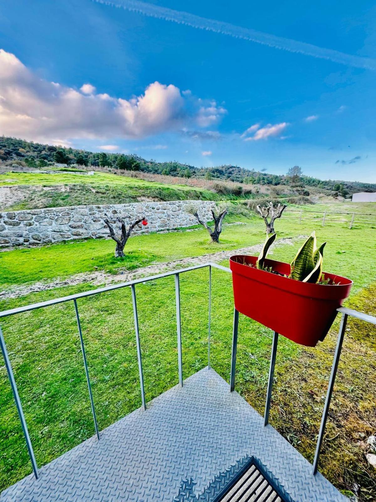 Farm stay Quinta Vale Da Prata