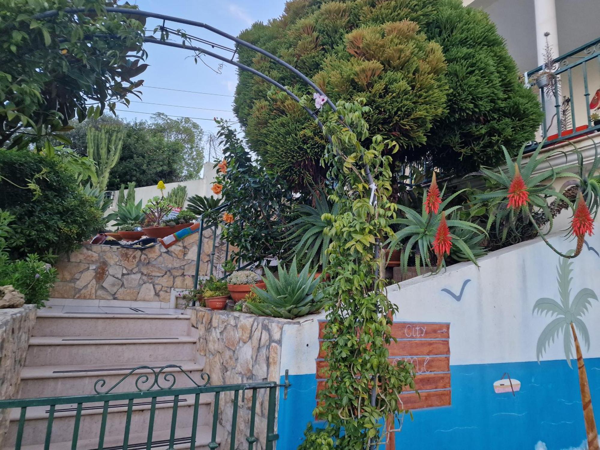 Casa Da Avo Bela Homestay