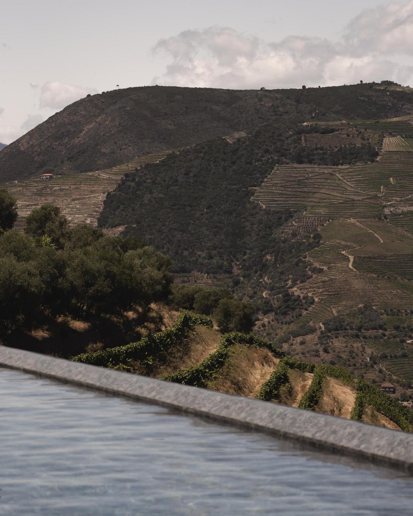 Quinta Vale De Lobos Douro Acomodação com café da manhã 