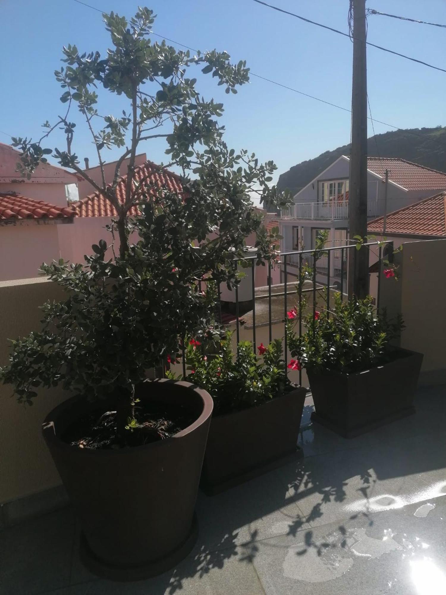 Holiday home Favinha Rooftop