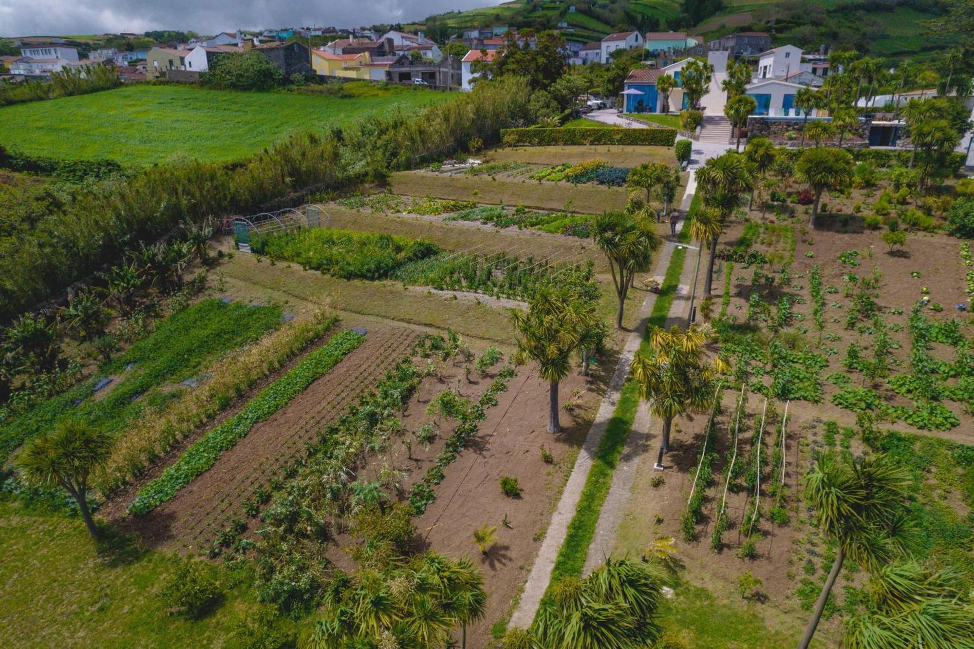 Idonea Acomodação com café da manhã 