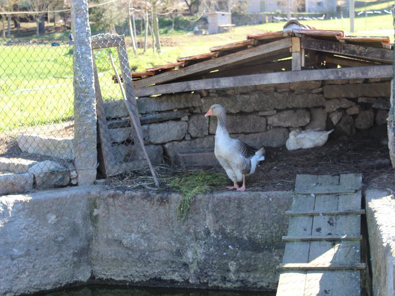 Rural Casa De S. Pedro Hotel