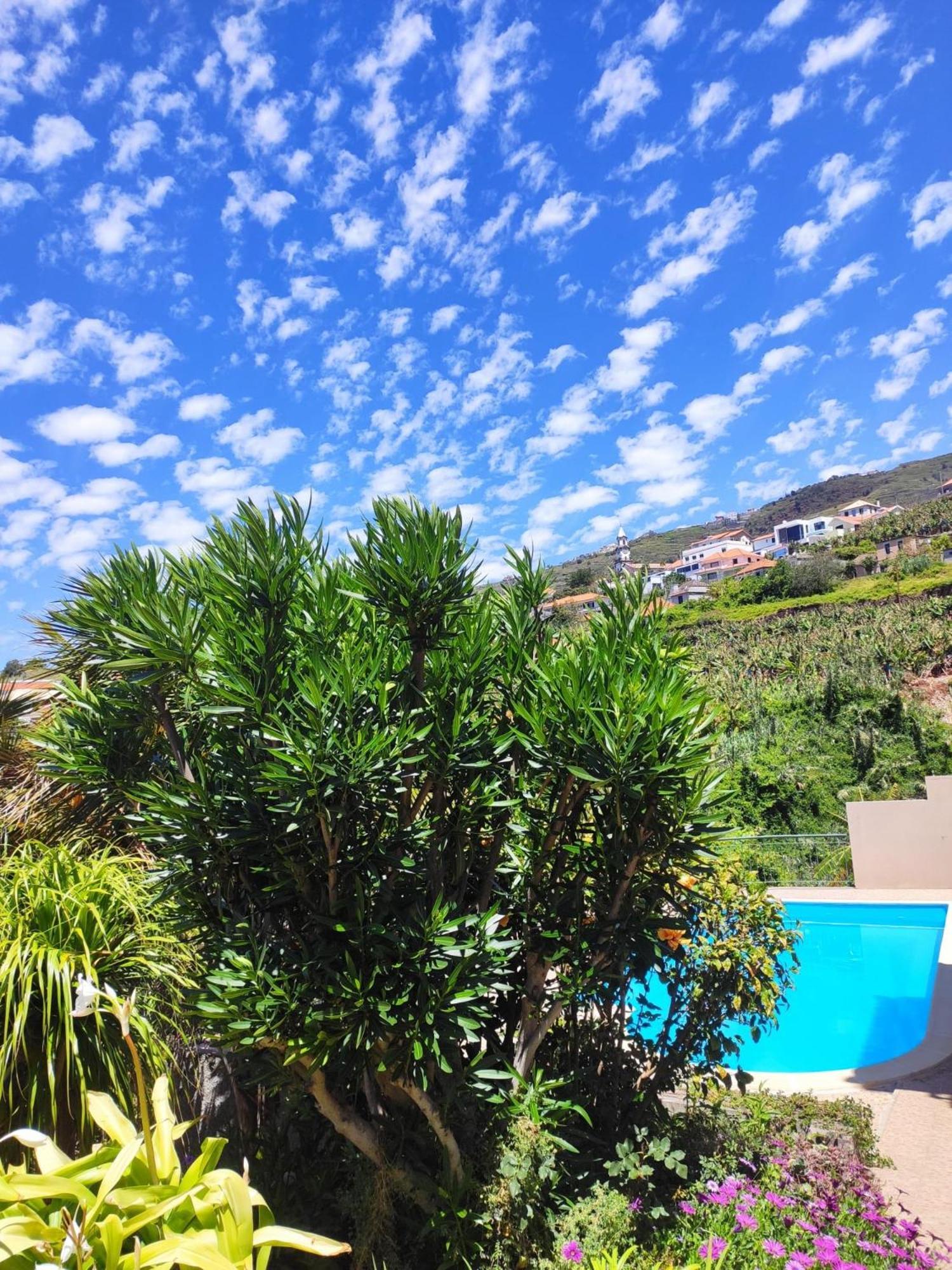Bluegreen Guest house Arco da Calheta (Madeira)