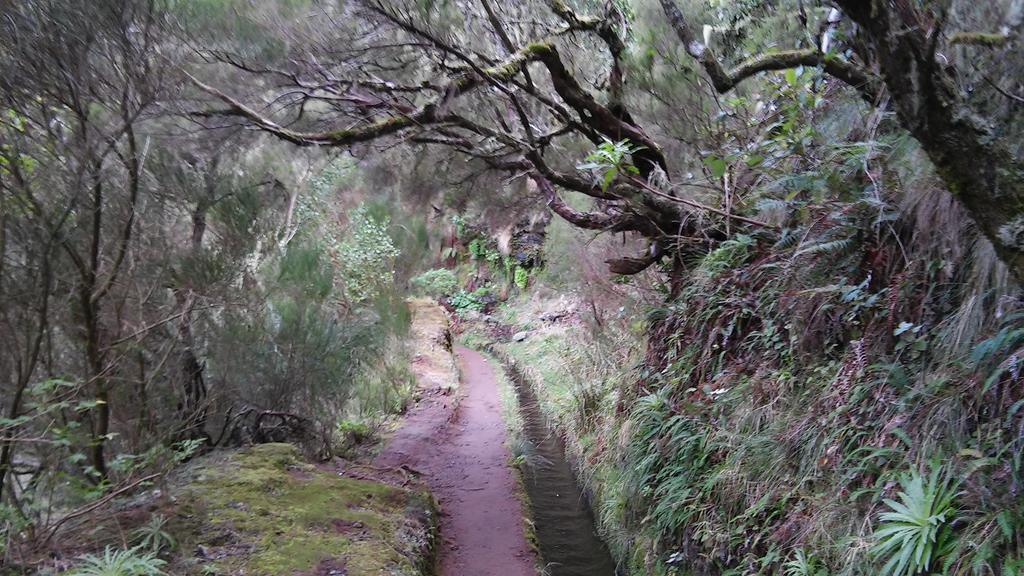 Levada Nova House Holiday home Ponta do Sol (Madeira)