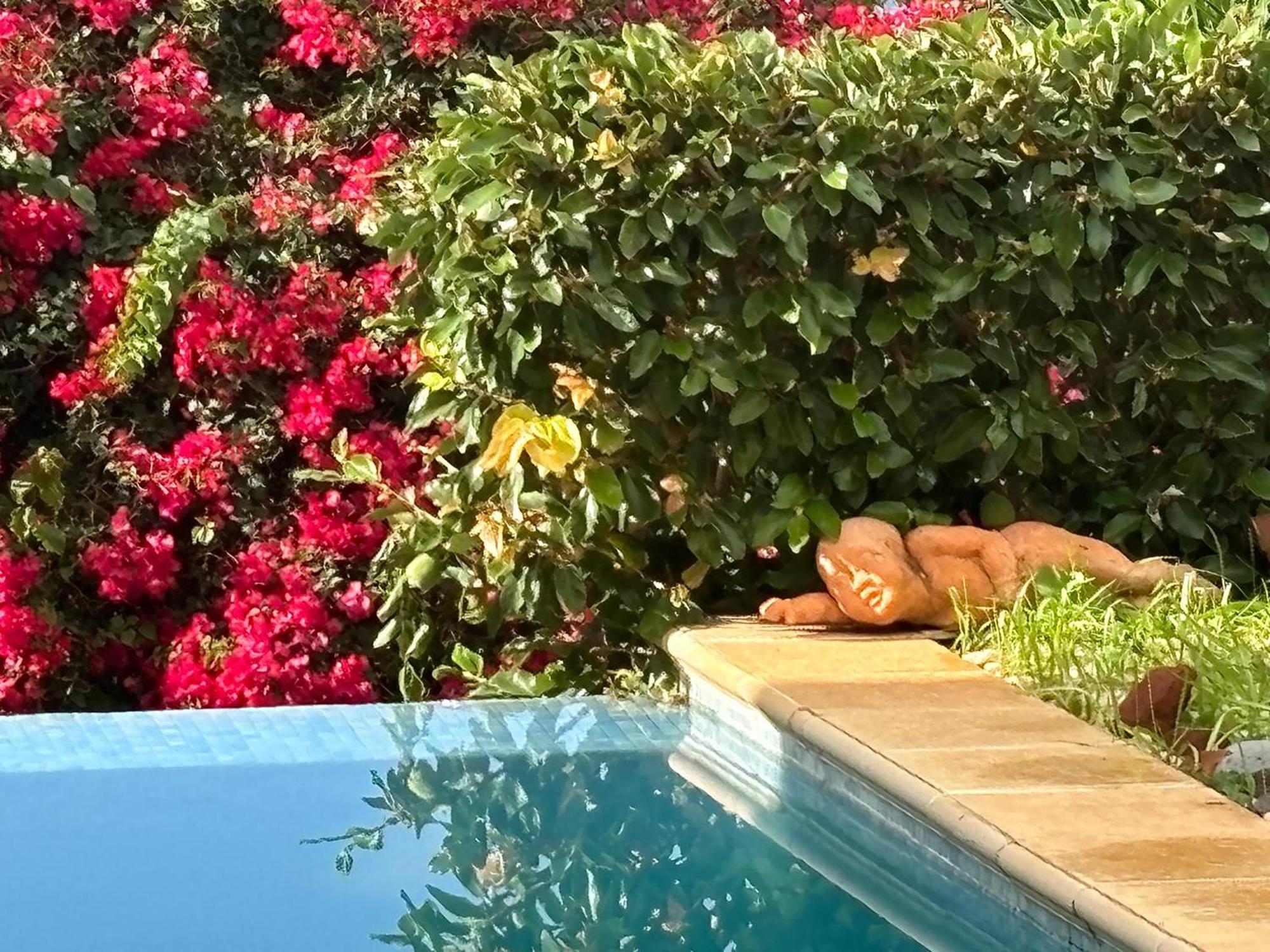 Bela Vigia 3 Homestay Jardim do Mar