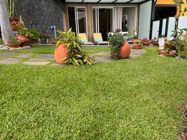 Zeza's Garden