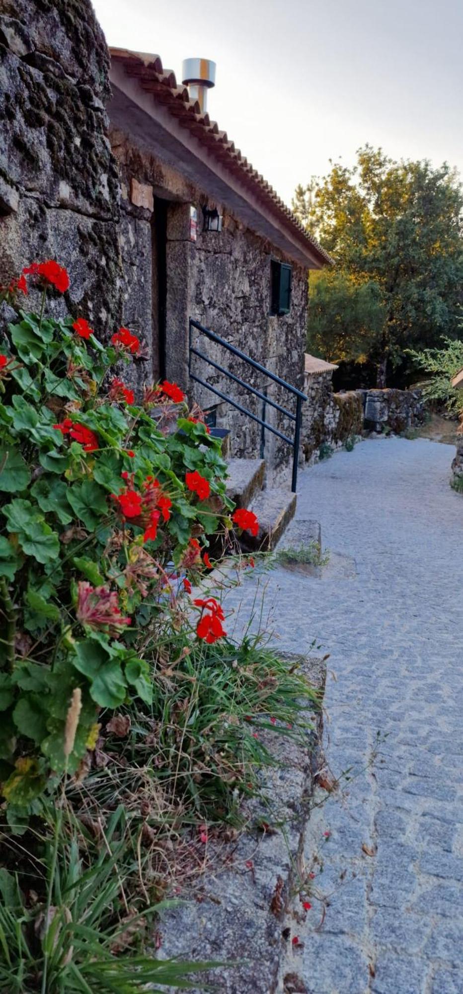 Vakantiehuis Horizontes Serranos Tondela