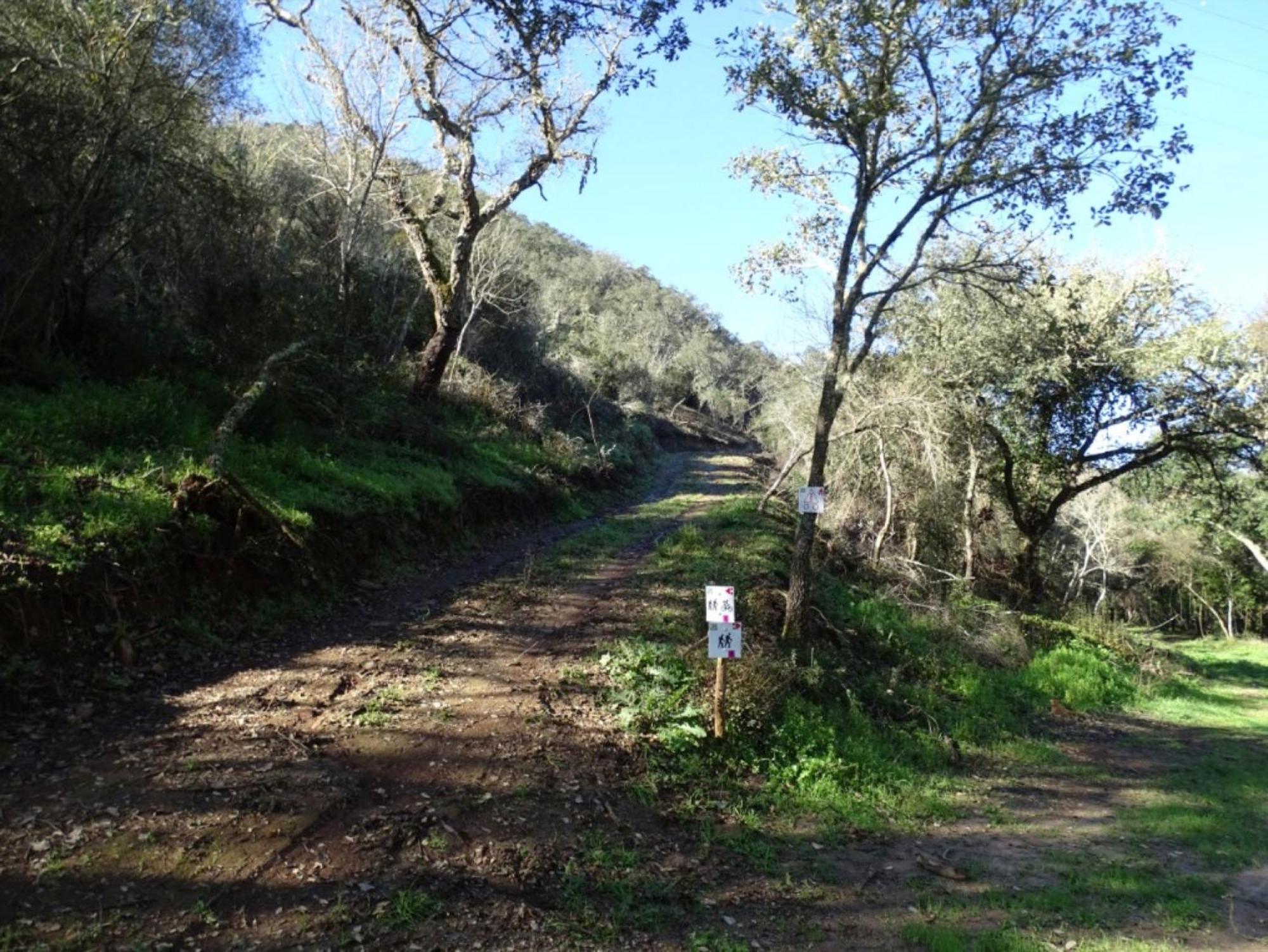 Herdade Vale De Gaios * Odemira