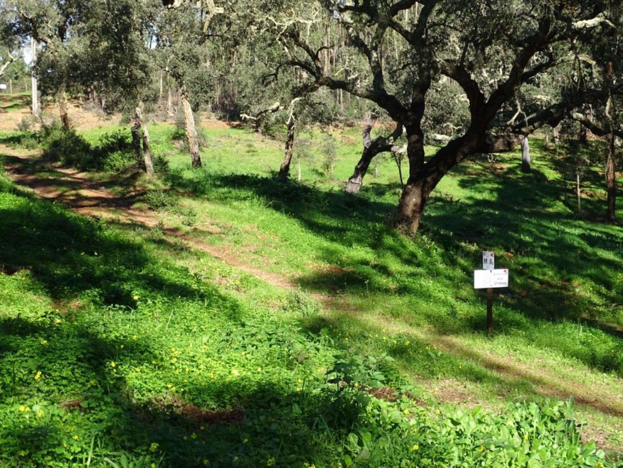 Herdade Vale De Gaios Villa Odemira