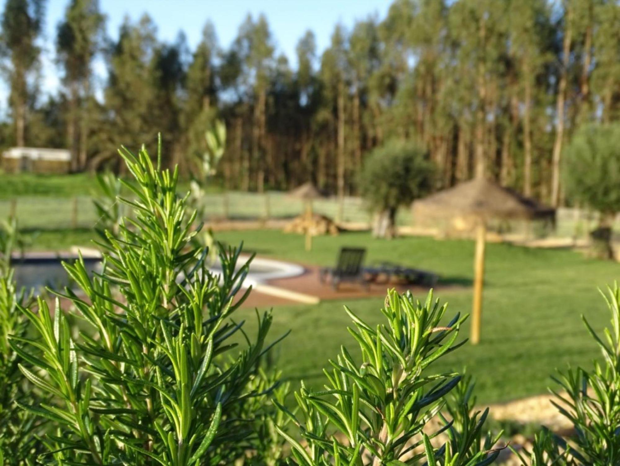 Herdade Vale De Gaios *