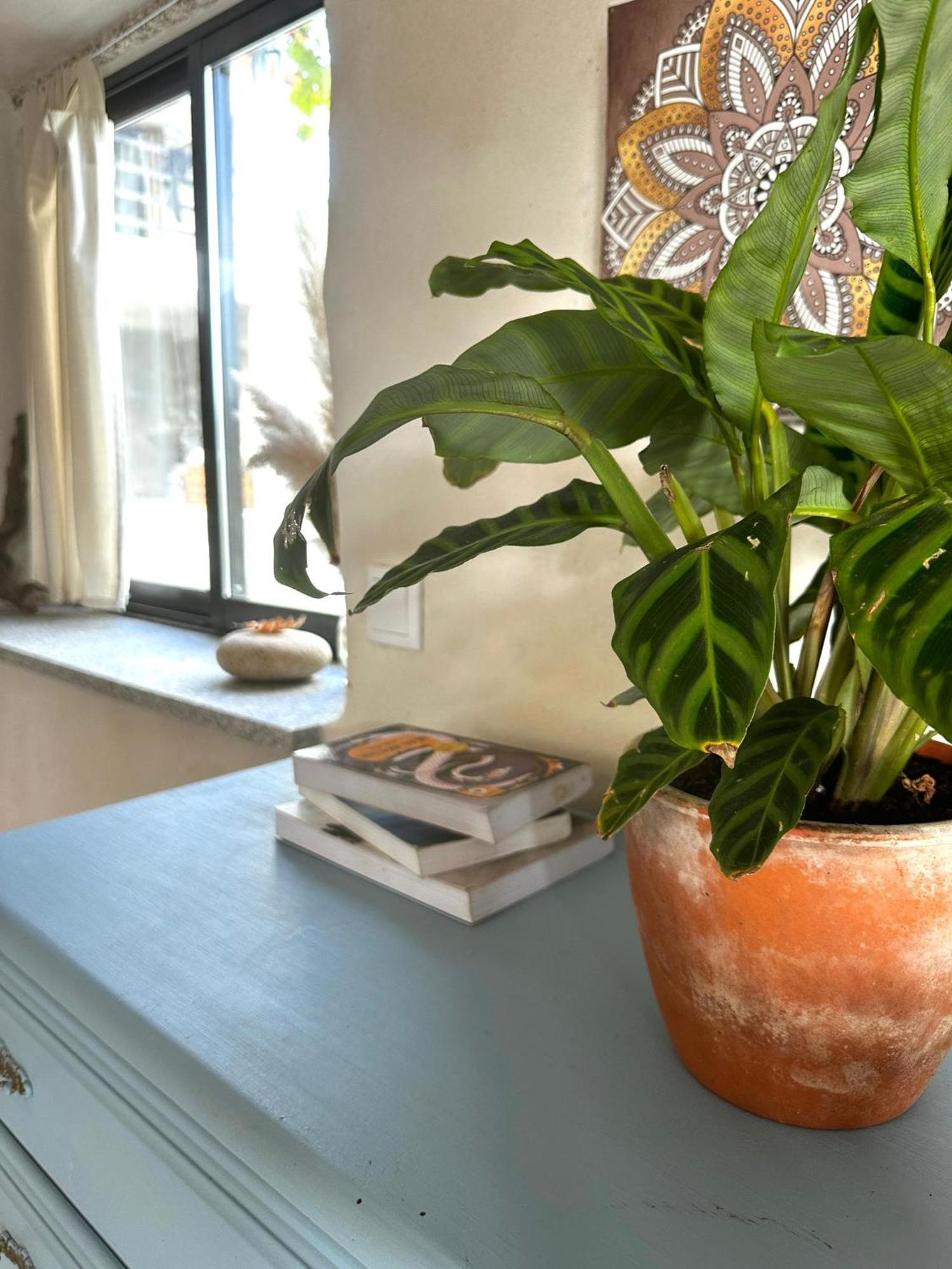 Casa Trilho The Gaios Bed & Breakfast