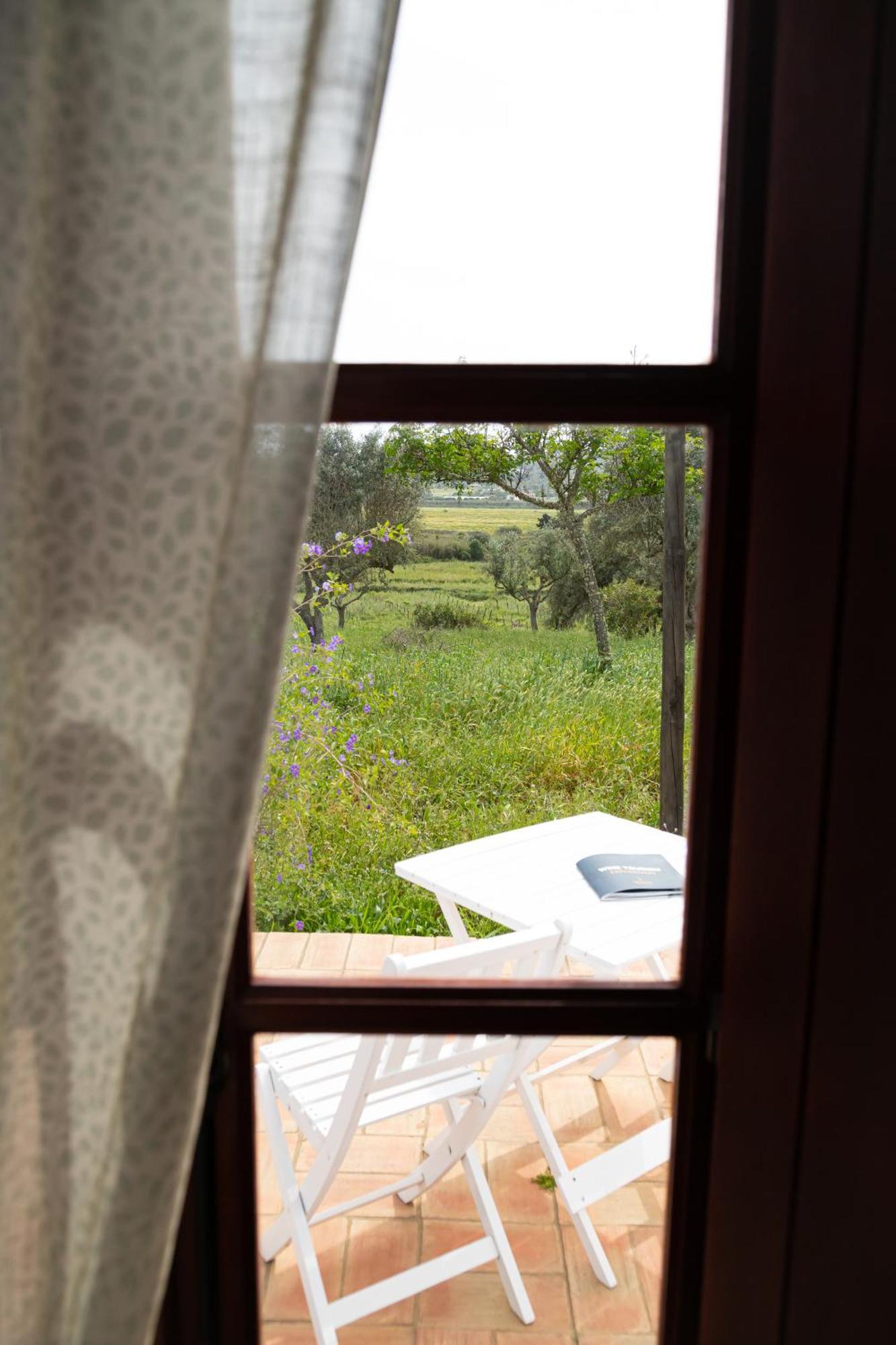 Casas Na Vinha - Monte Da Casteleja, Wine Estate - Eco Farm stay *