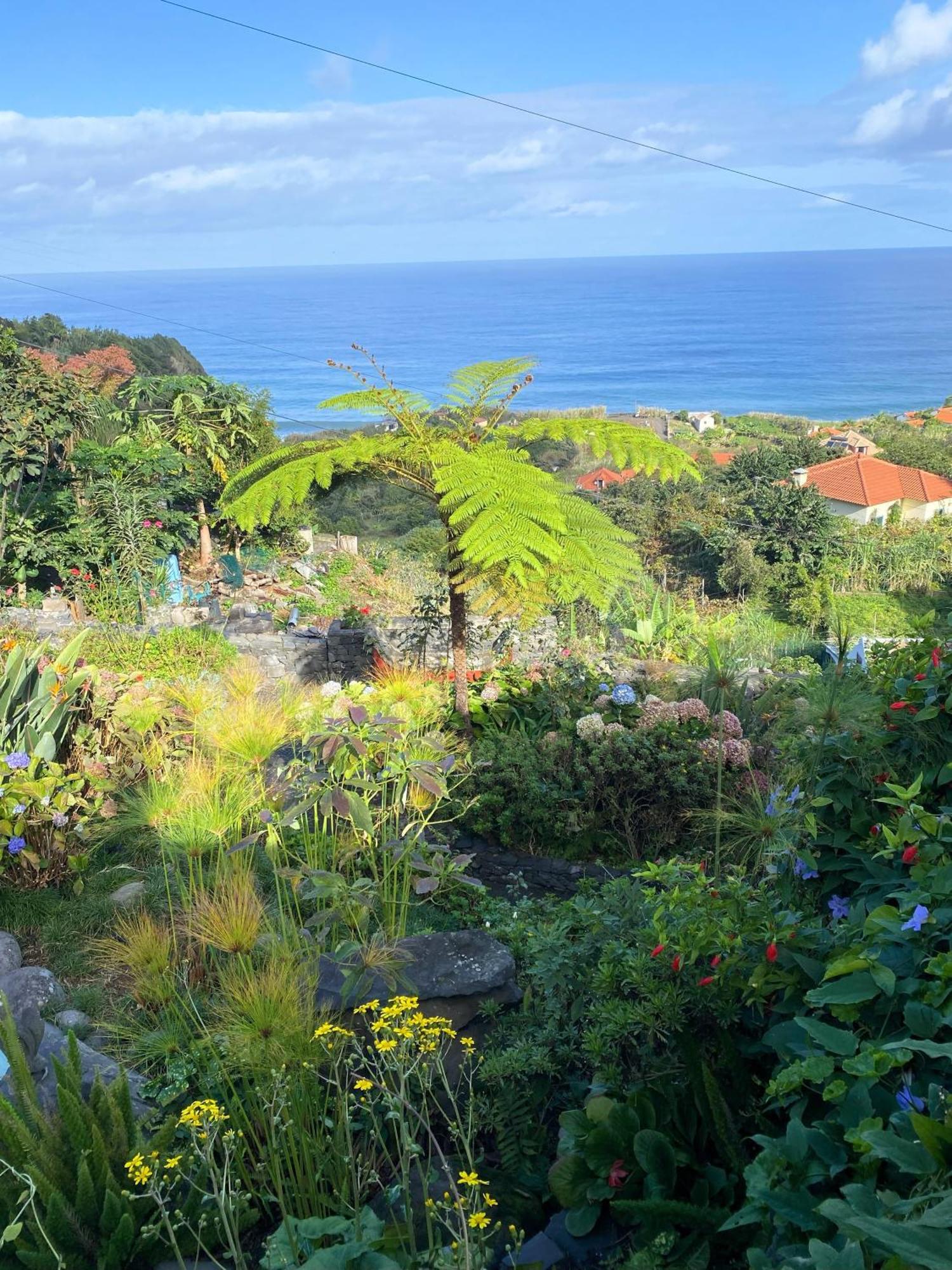 Agroturismo Quinta Hortensias Arco de São Jorge