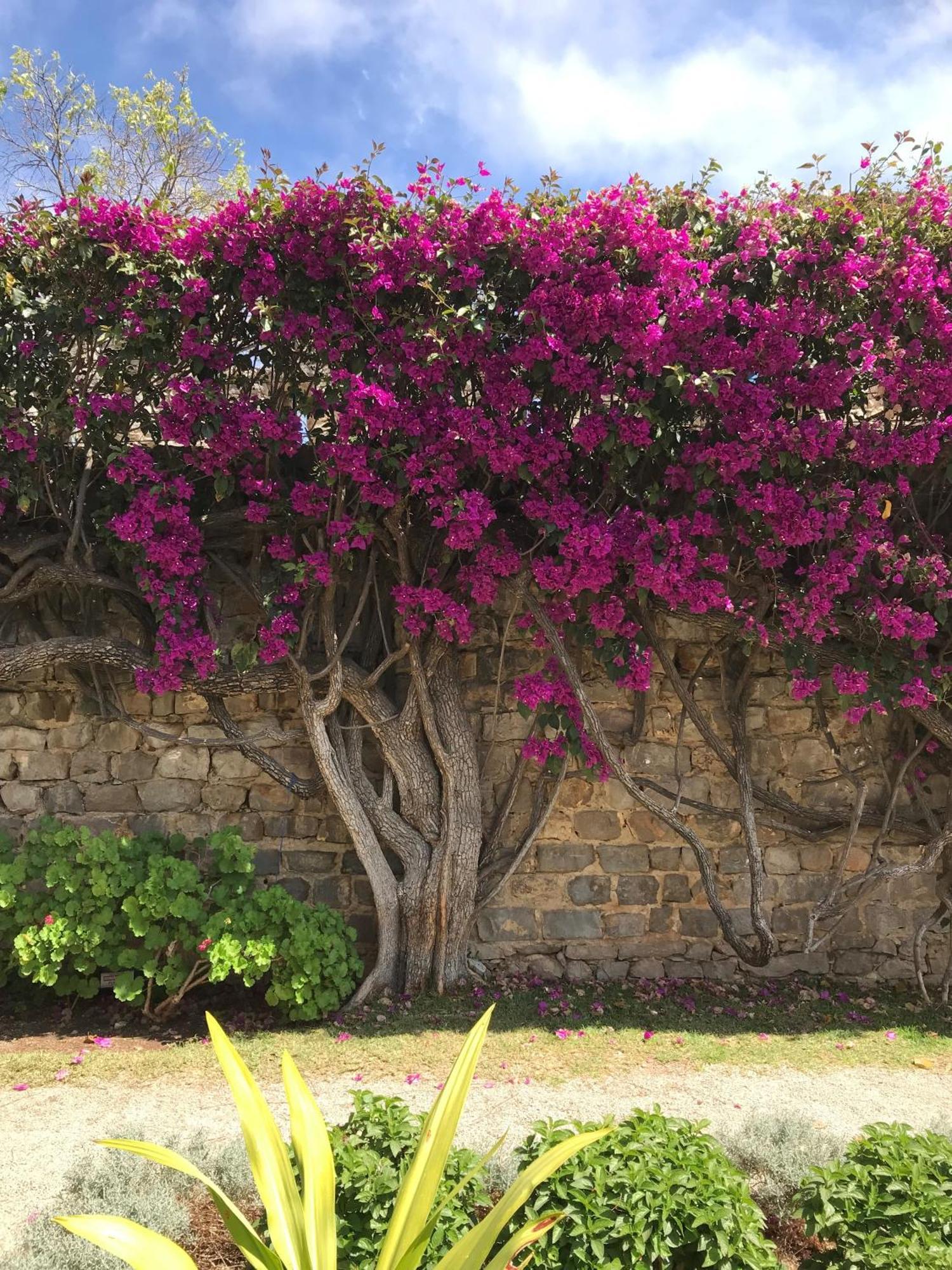 Casa Tedi: Luxurious With Pool And Gardens In *