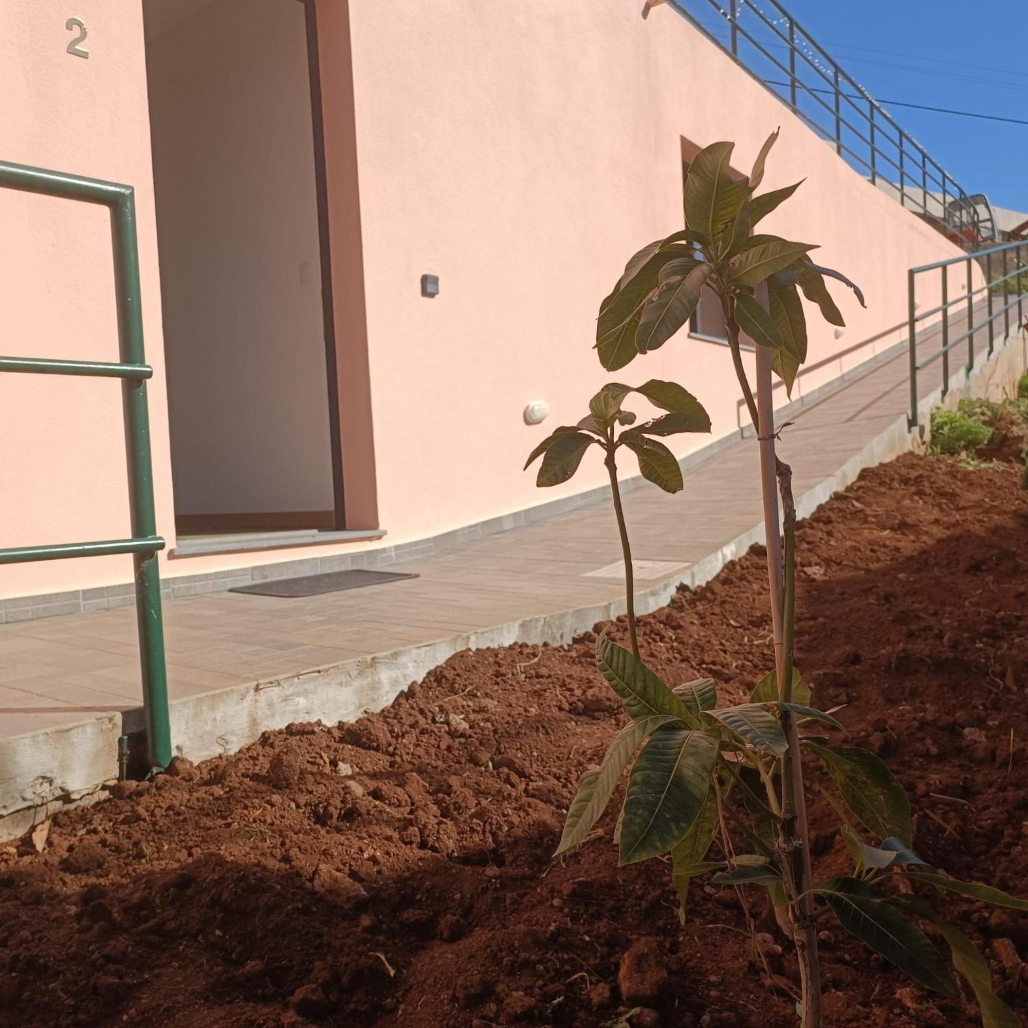 Casa Bela Vista 1 Guest house Ribeira Brava