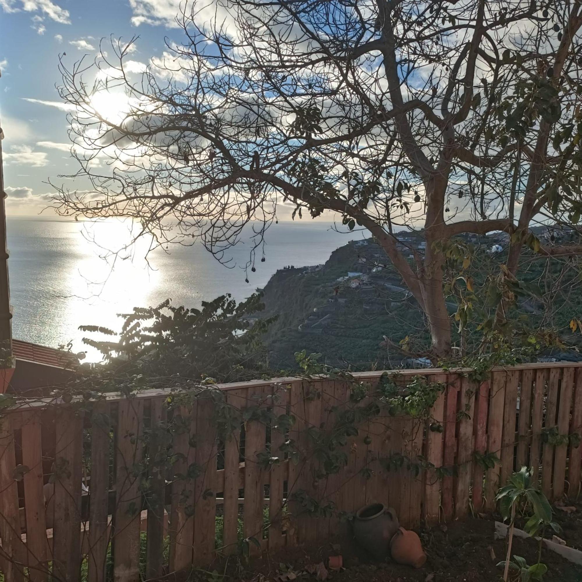 Casa Bela Vista 1 * Ribeira Brava