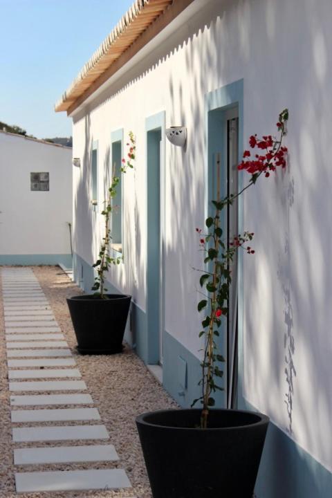 Herdade D'amoreira Rosmaninho Villa *