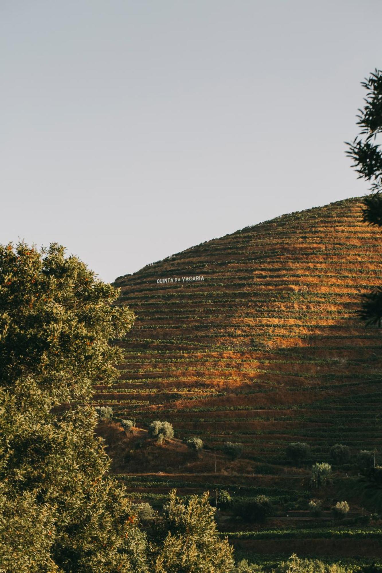 Torel Quinta Da Vacaria - Douro Valley