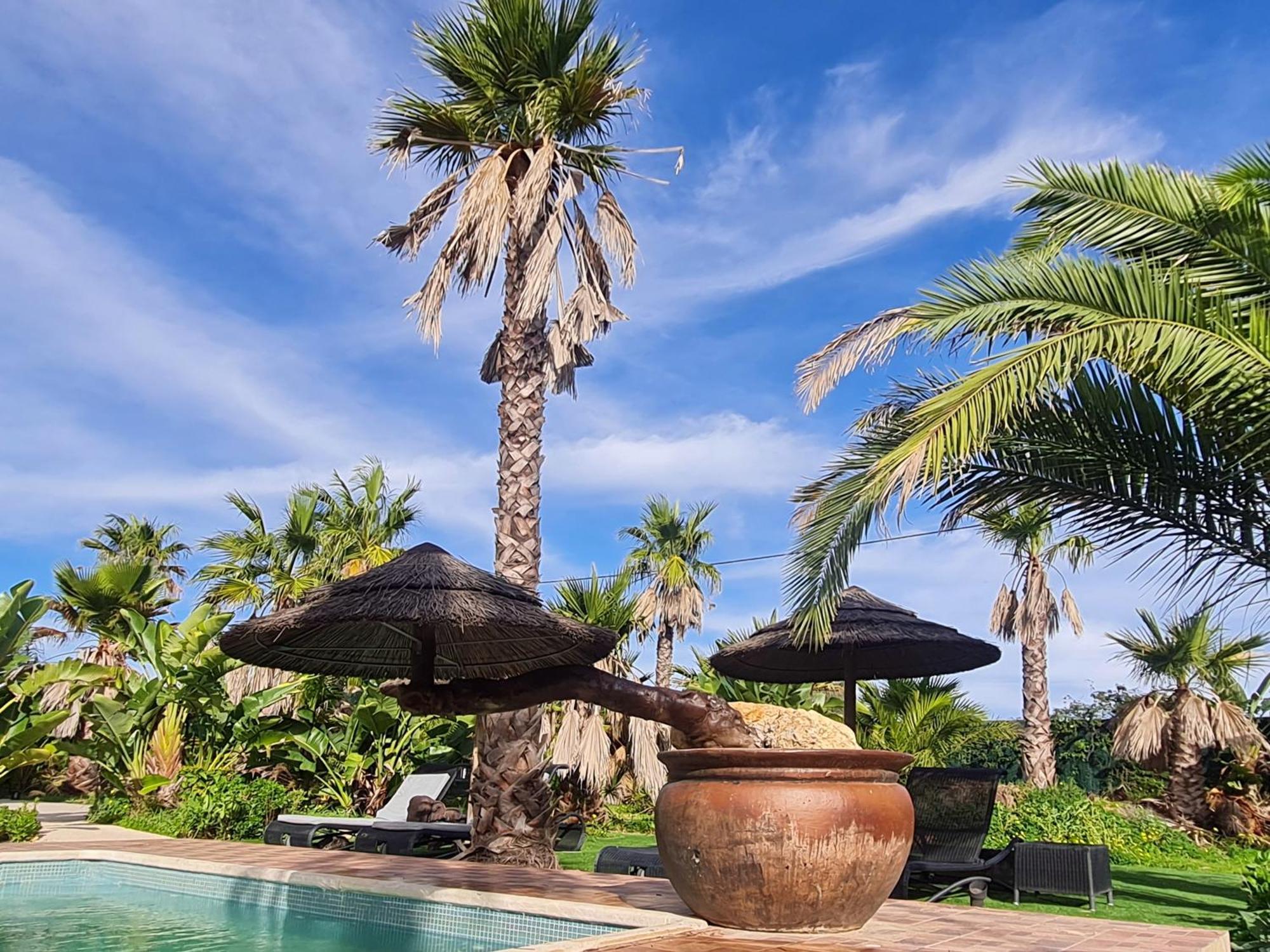 Bed & Breakfast Villa Paraiso - Naturism Optional Adults Only 4*