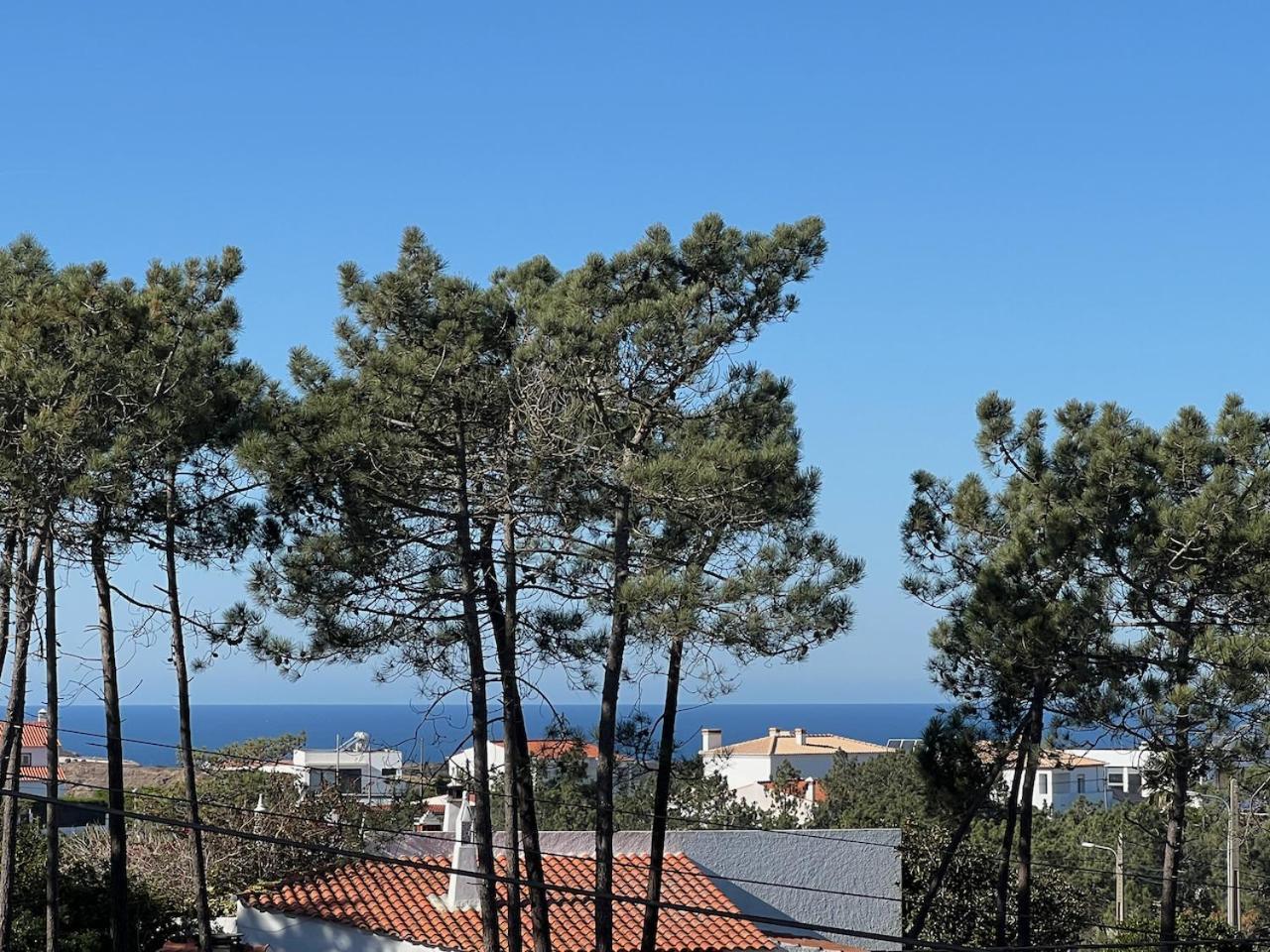 Apartment Casa Colina, Walking Distance To Arrifana