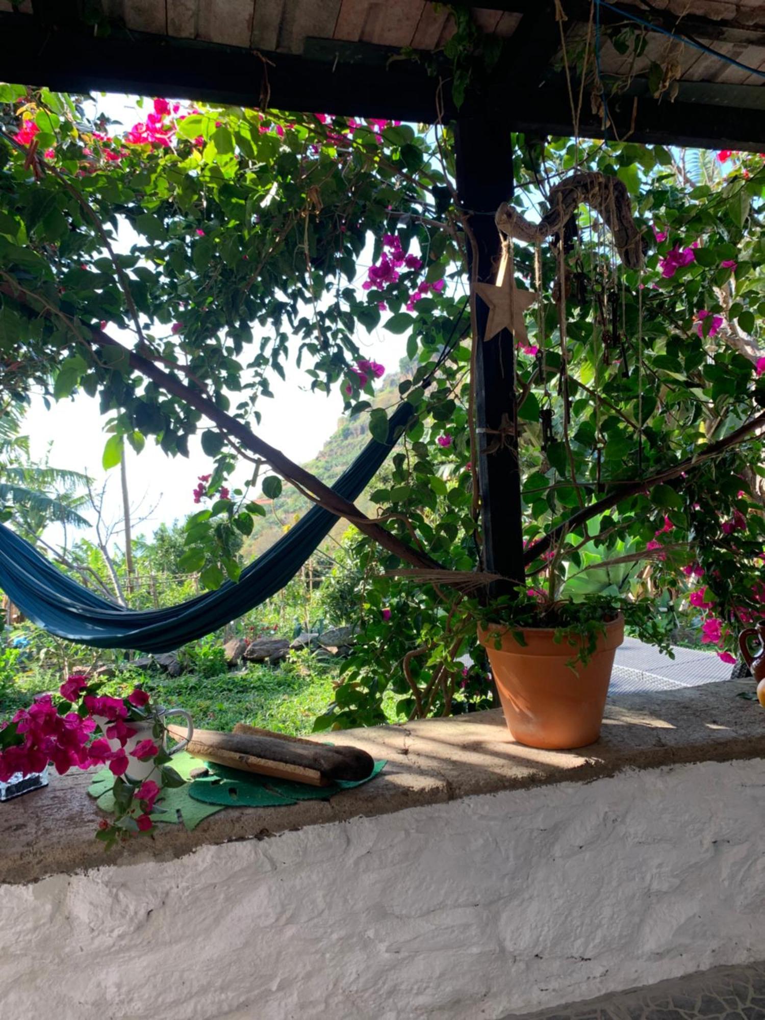 Homestay Pico Paraiso Madeira *