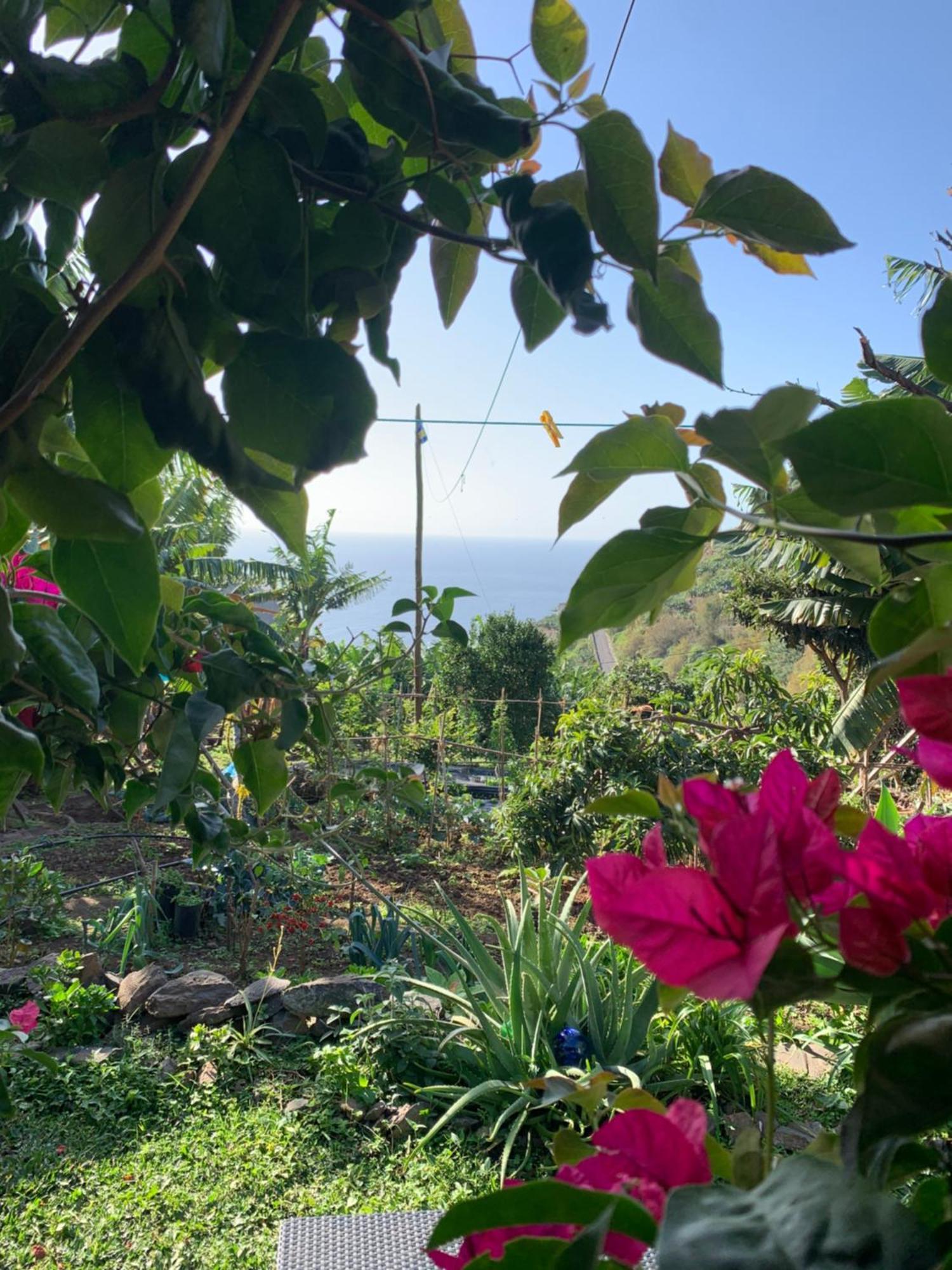 Pico Paraiso Madeira