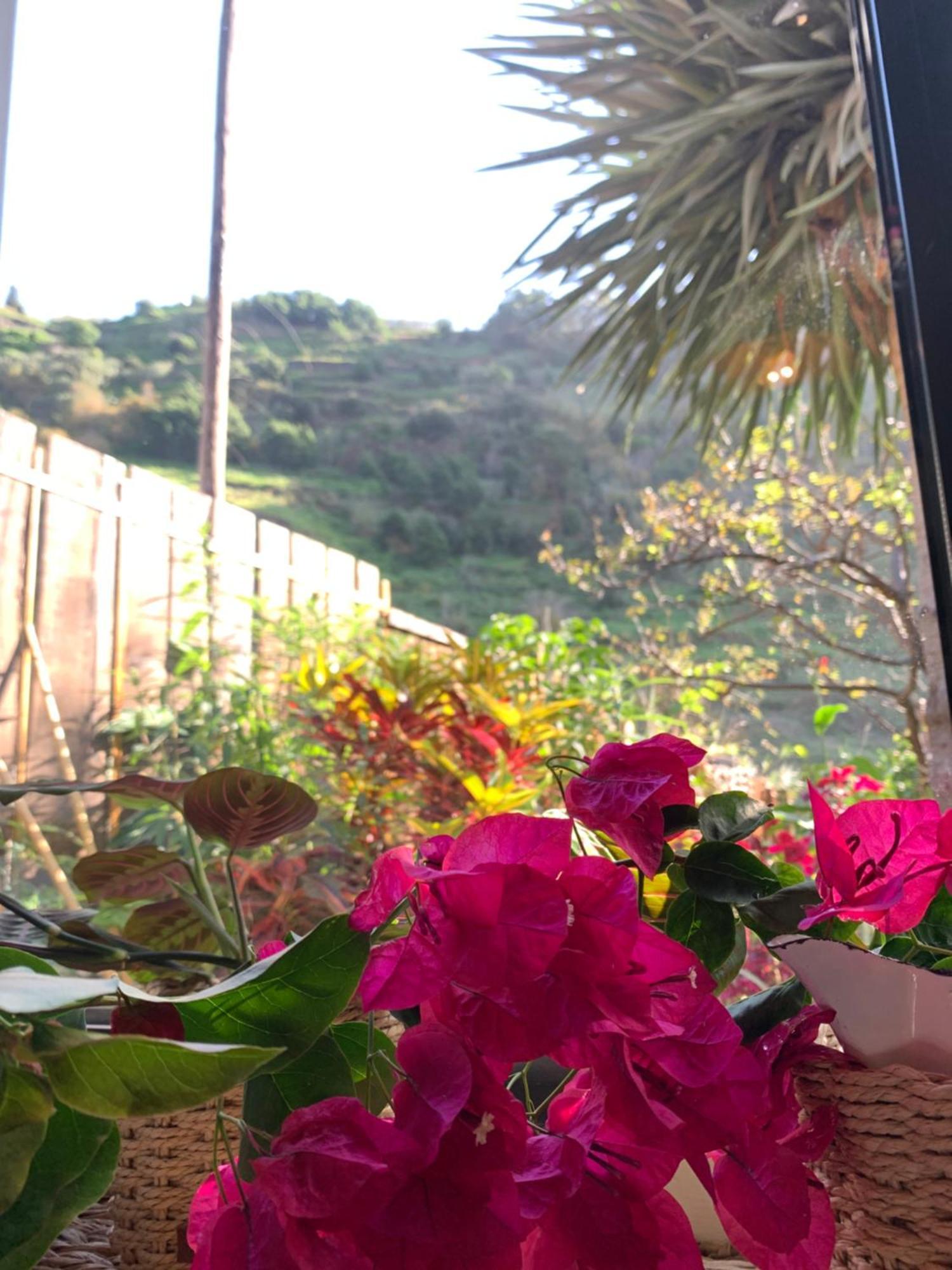 Pico Paraiso Madeira Homestay