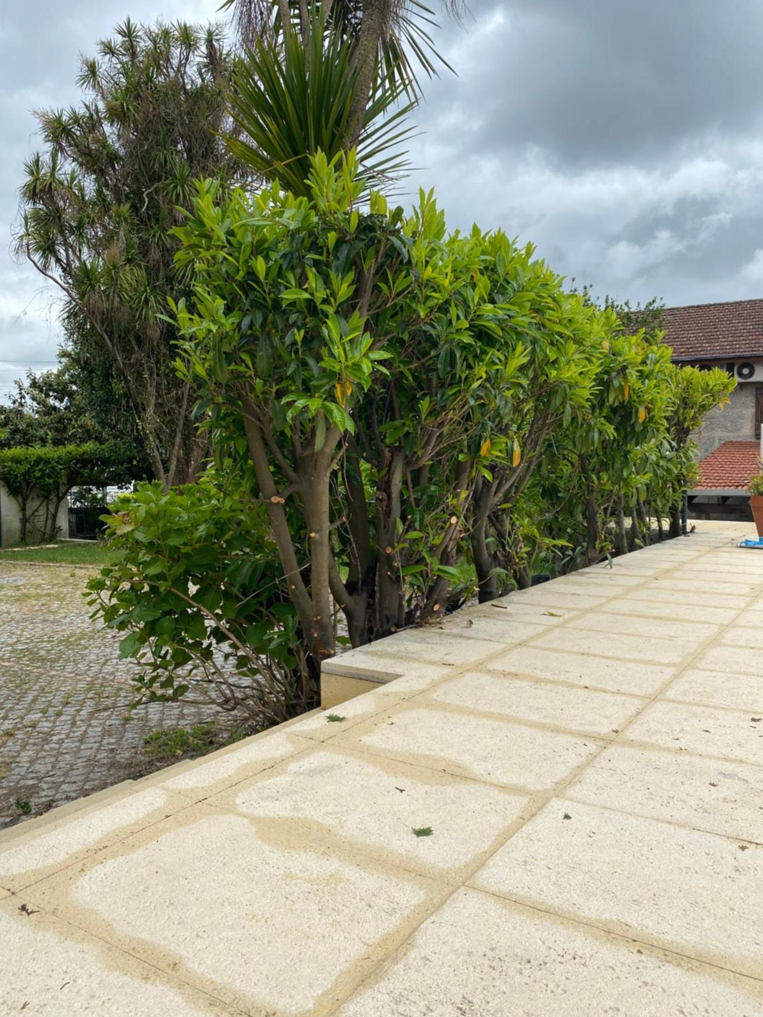 Casa Augusta - Quinta Hotel