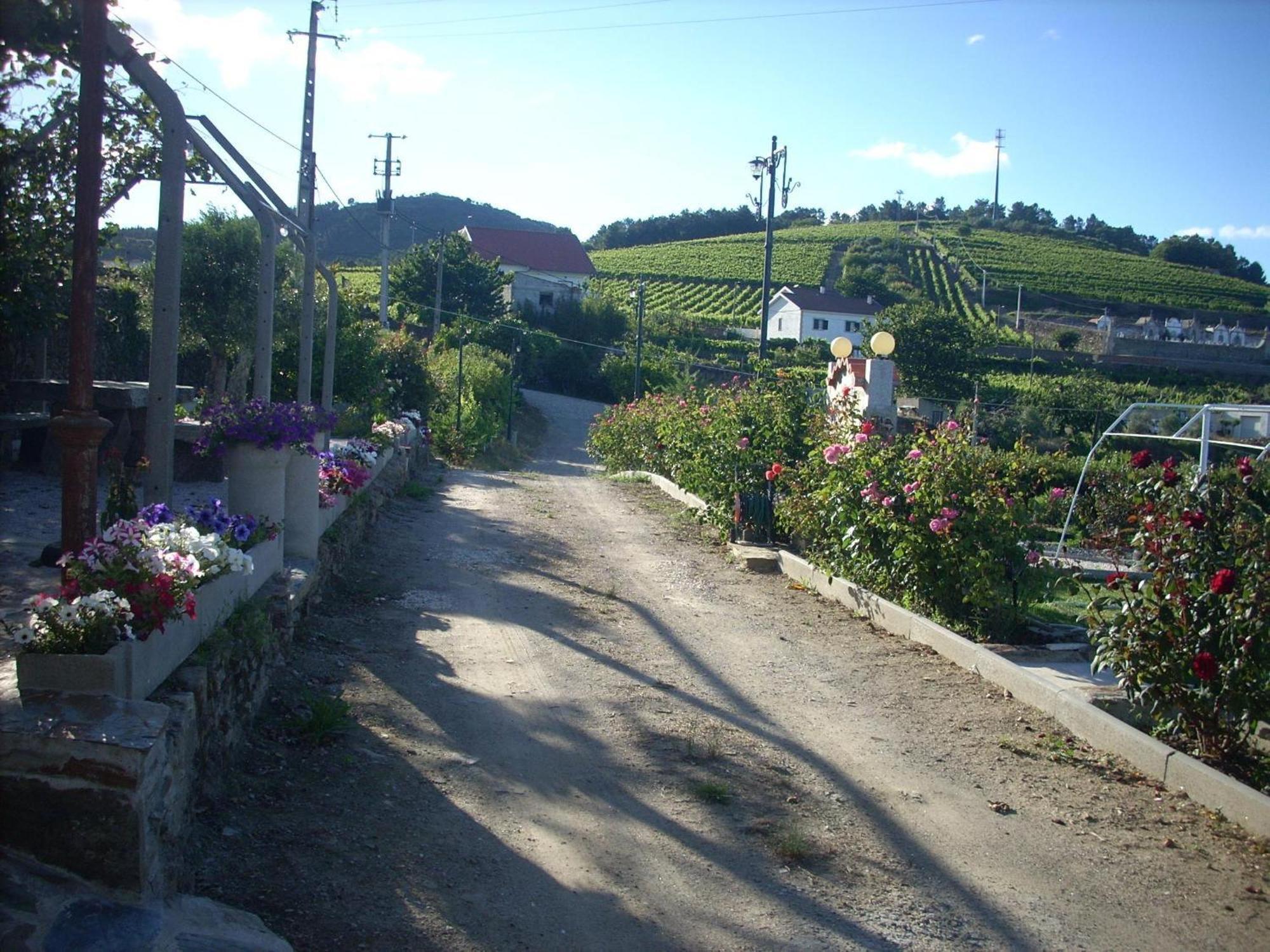 Casa Da Jesus Holiday home Provesende