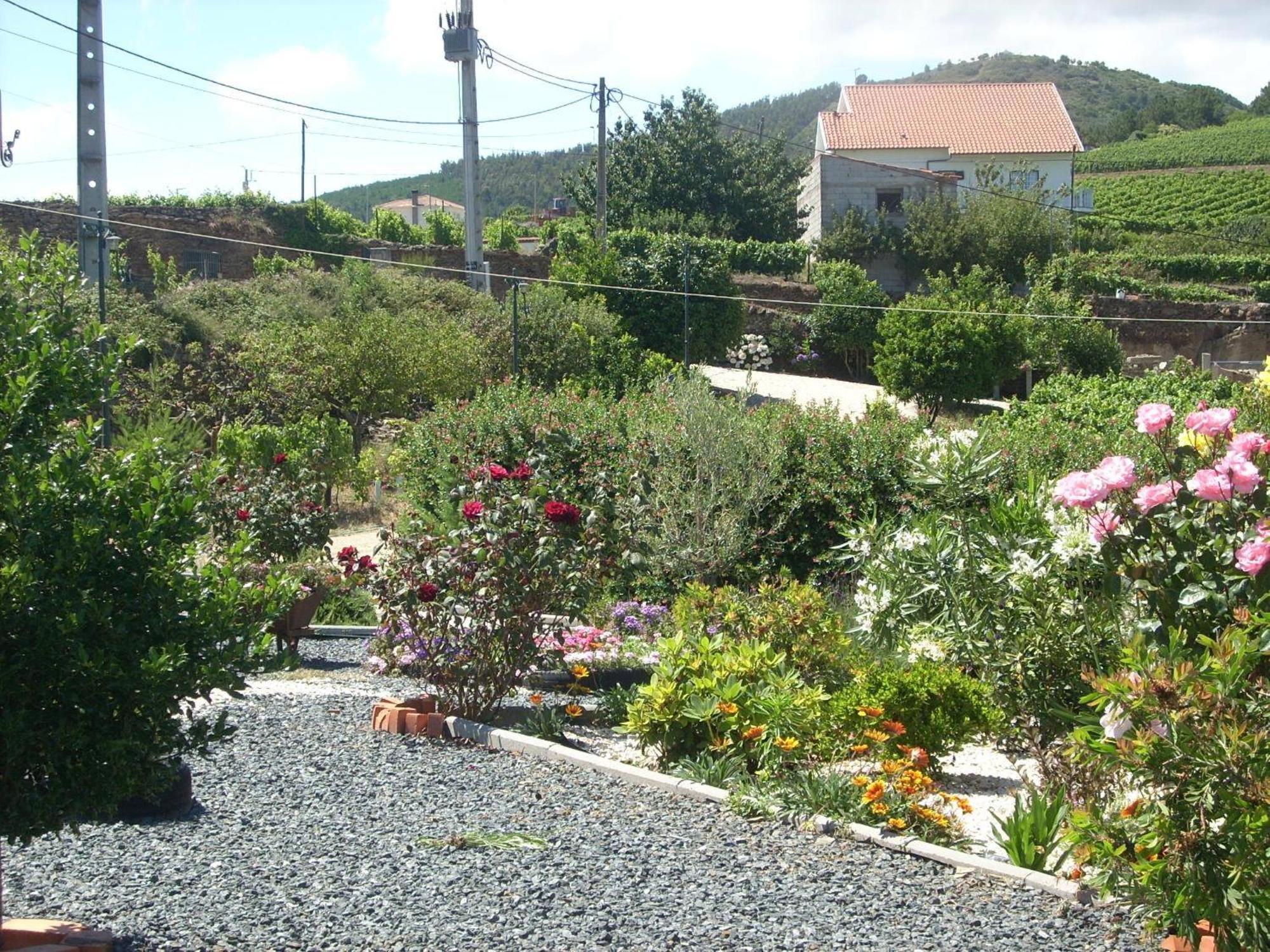 Casa Da Jesus *