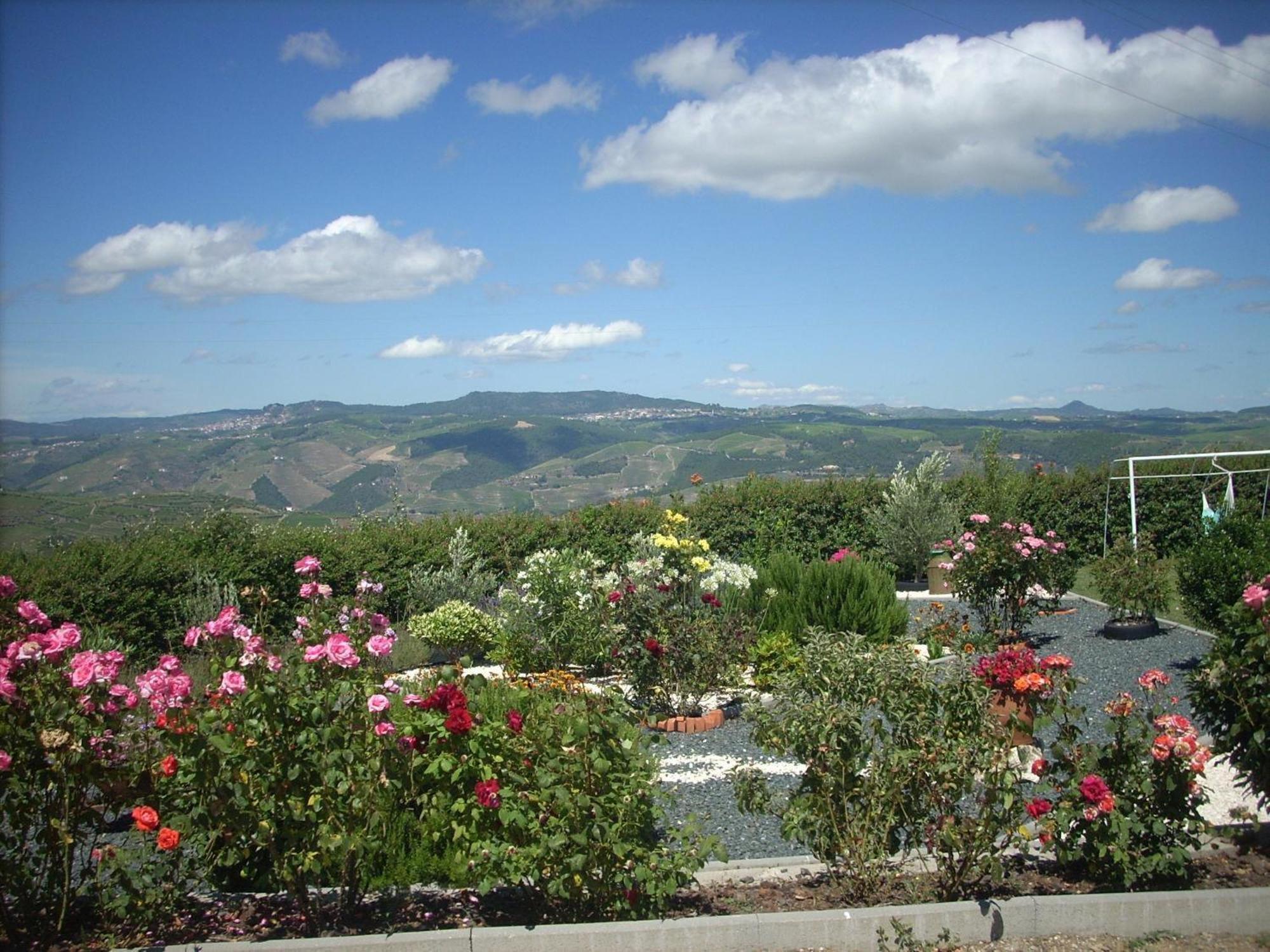 Casa Da Jesus Holiday home Provesende