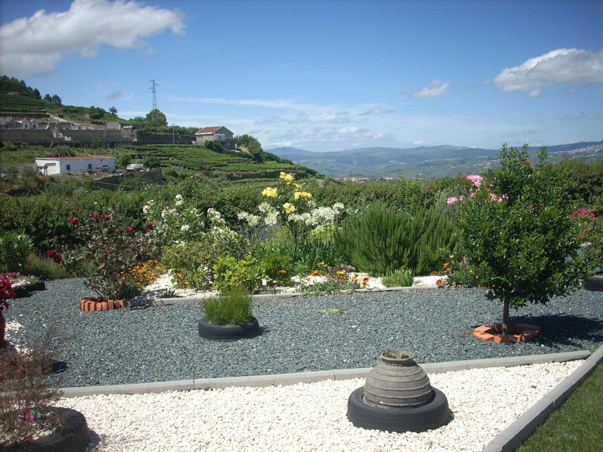 Casa Da Jesus Provesende