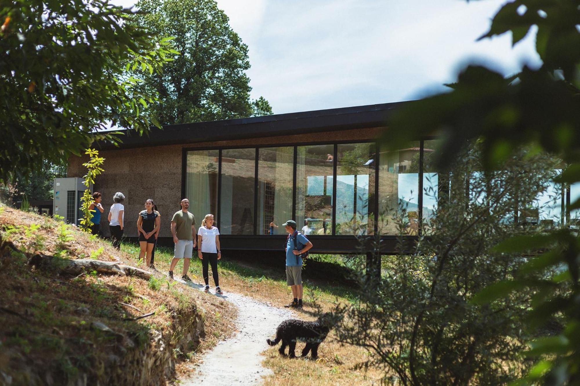 Estrela Serenity - *