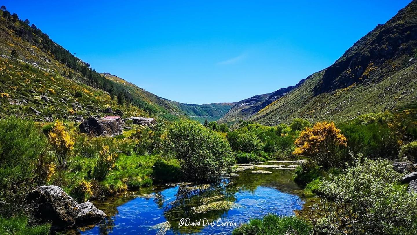 Casa Faias - Serra Da Estrela