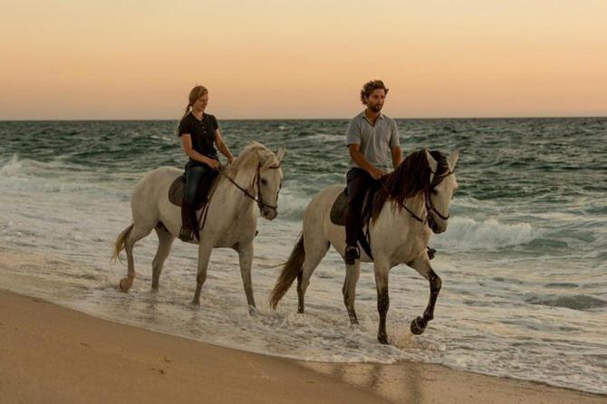 Ocean Algarve Holiday home *