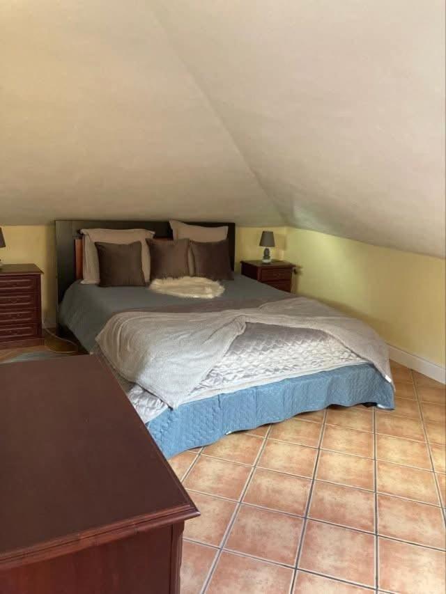 Casa Rosa Guest house